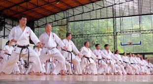 Clases de Karate para Adultos