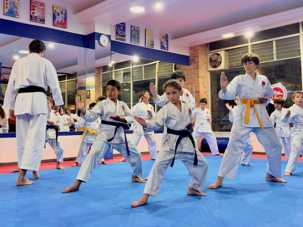 Niños practicando Karate Tradicional en Kiryoku Karate en Bogota
